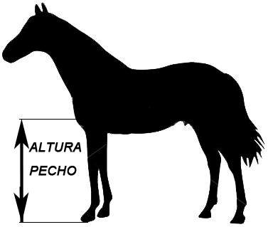 Altura do peito do cavalo