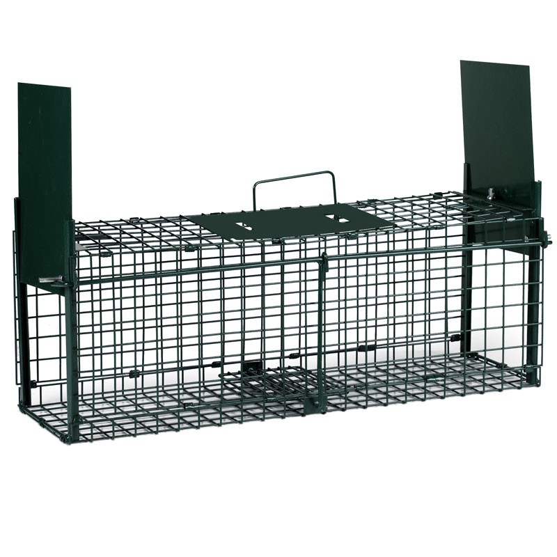 Folding Cage with
