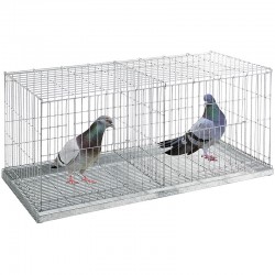 Vert COPELE 90228 Cage Capture Pigeons 3 Dpts 