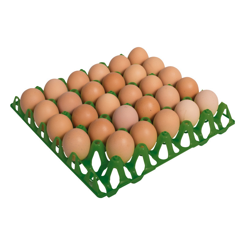 Bandeja de plástico para 30 huevos