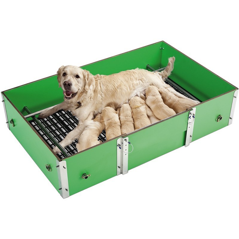 Dog breeding box best sale