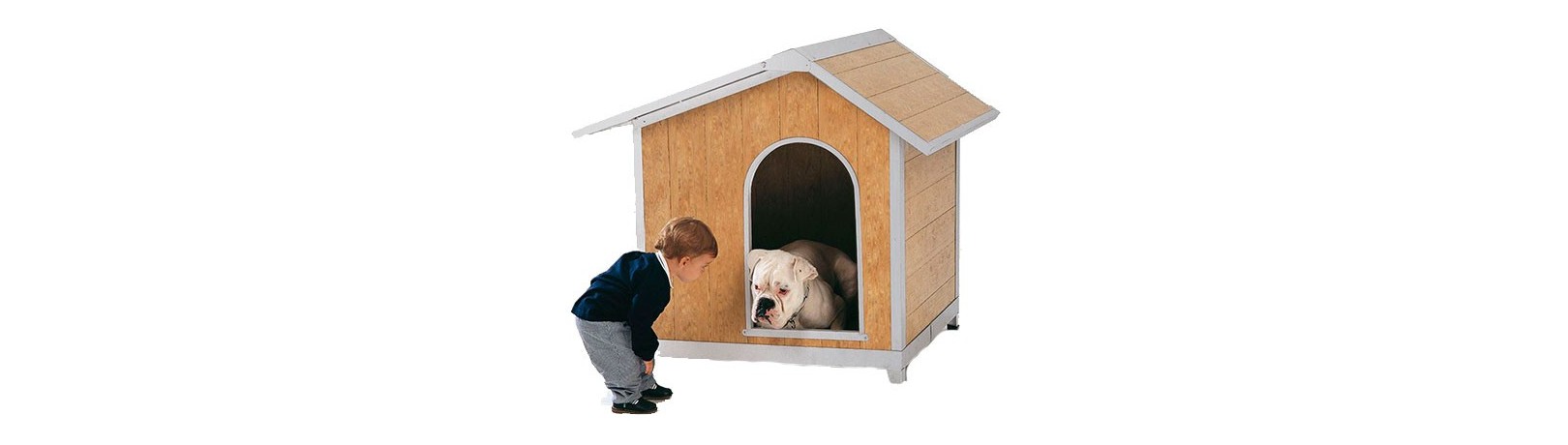 Fabricant de niches pour chiens