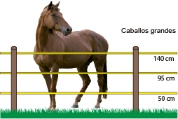 Pastores Eléctricos para Caballos