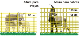 Cómo funciona un pastor eléctrico? - COPELE