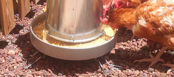How to make your metal feeder last forever