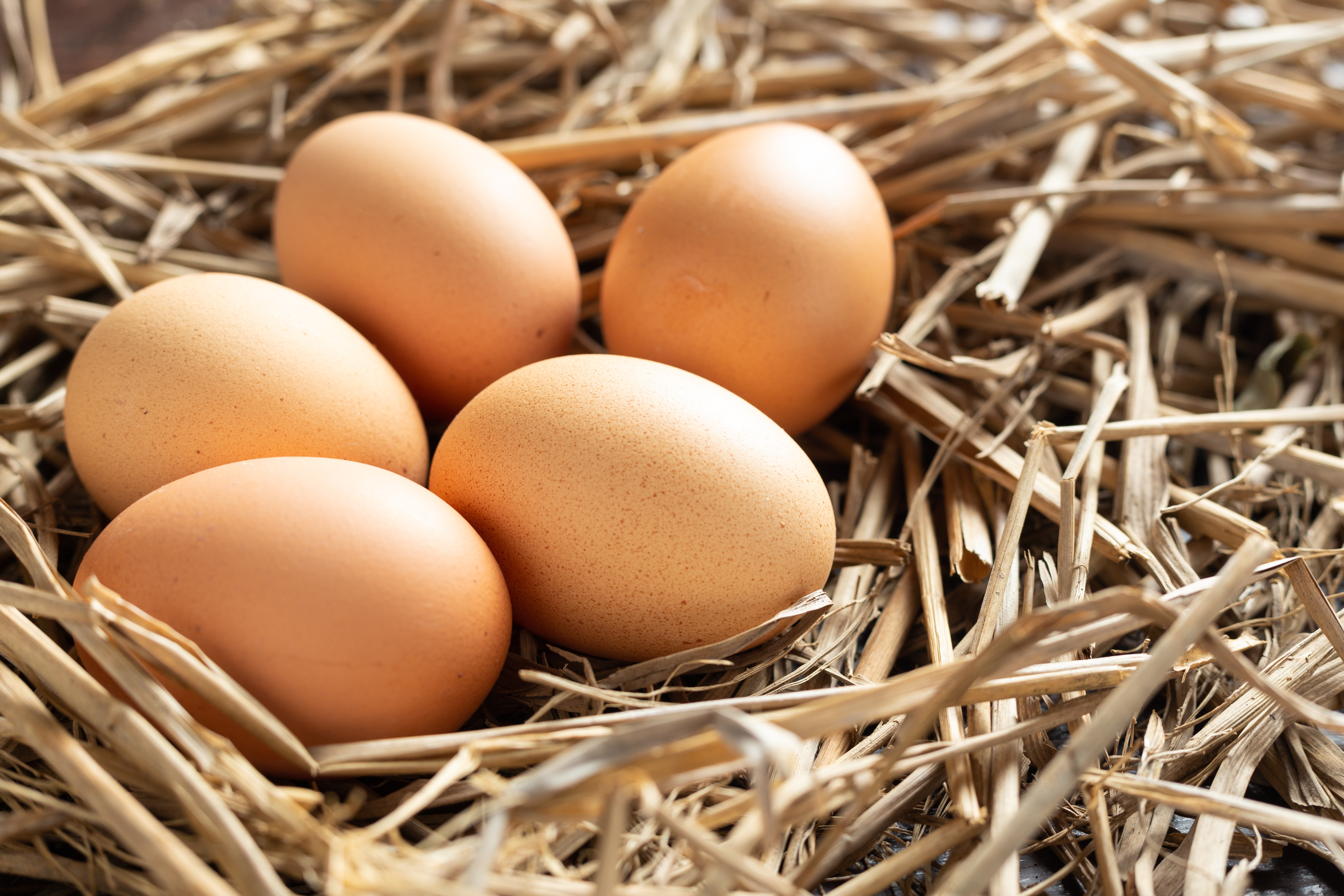 Poultry farming advice to stop hens breaking eggs